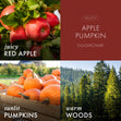 Load image into Gallery viewer, Apple Pumpkin Odor Eliminating Room Spray
