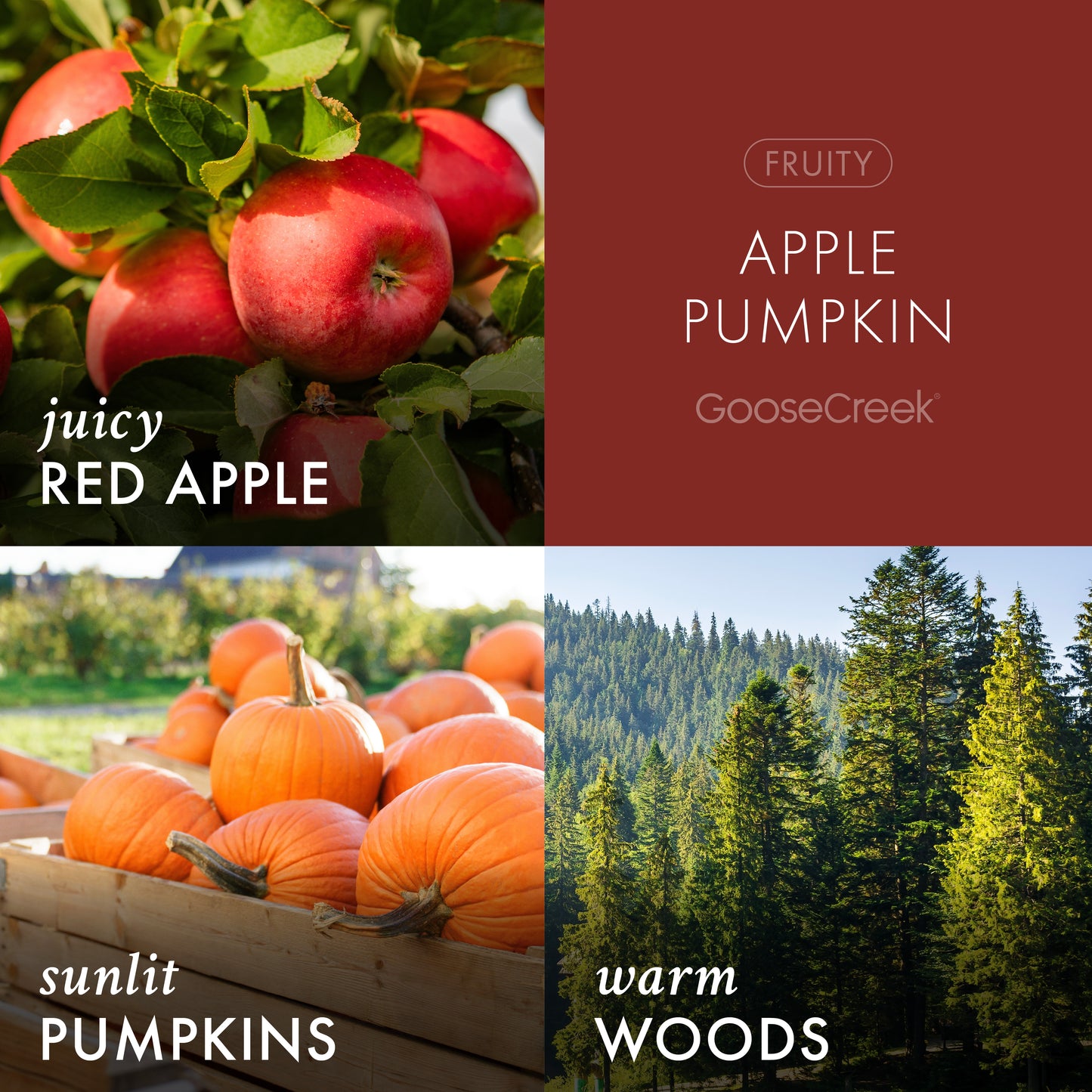 Apple Pumpkin Odor Eliminating Room Spray