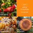 Load image into Gallery viewer, Apple Pumpkin Wax Melt
