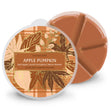 Load image into Gallery viewer, Apple Pumpkin Wax Melt
