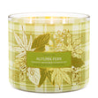 Load image into Gallery viewer, Autumn Fern 3-Wick Candle
