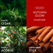 Load image into Gallery viewer, Autumn Glow 3-Wick Candle

