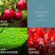 Load image into Gallery viewer, Autumn Rain 3-Wick Candle
