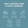 Load image into Gallery viewer, Autumn Rain 3-Wick Candle
