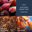 Load image into Gallery viewer, Autumn Road Trip 3-Wick Candle
