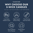 Load image into Gallery viewer, Autumn Road Trip 3-Wick Candle
