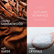 Load image into Gallery viewer, Autumn Romance Lush Foaming Hand Soap
