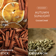 Load image into Gallery viewer, Autumn Sunlight 3-Wick Candle
