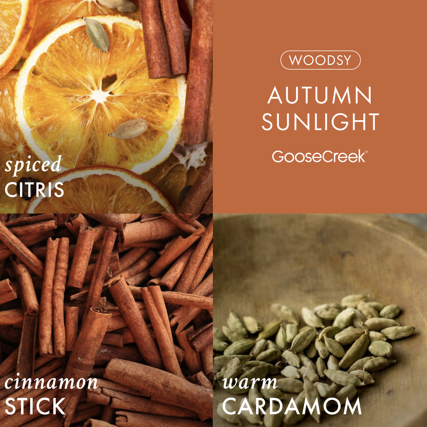 Autumn Sunlight 3-Wick Candle