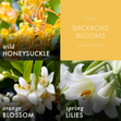 Load image into Gallery viewer, Backroad Blooms 3-Wick Candle
