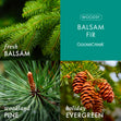 Load image into Gallery viewer, Balsam Fir 3-Wick Candle
