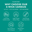 Load image into Gallery viewer, Balsam Fir 3-Wick Candle
