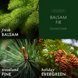 Load image into Gallery viewer, Balsam Fir 7oz Single Wick Candle
