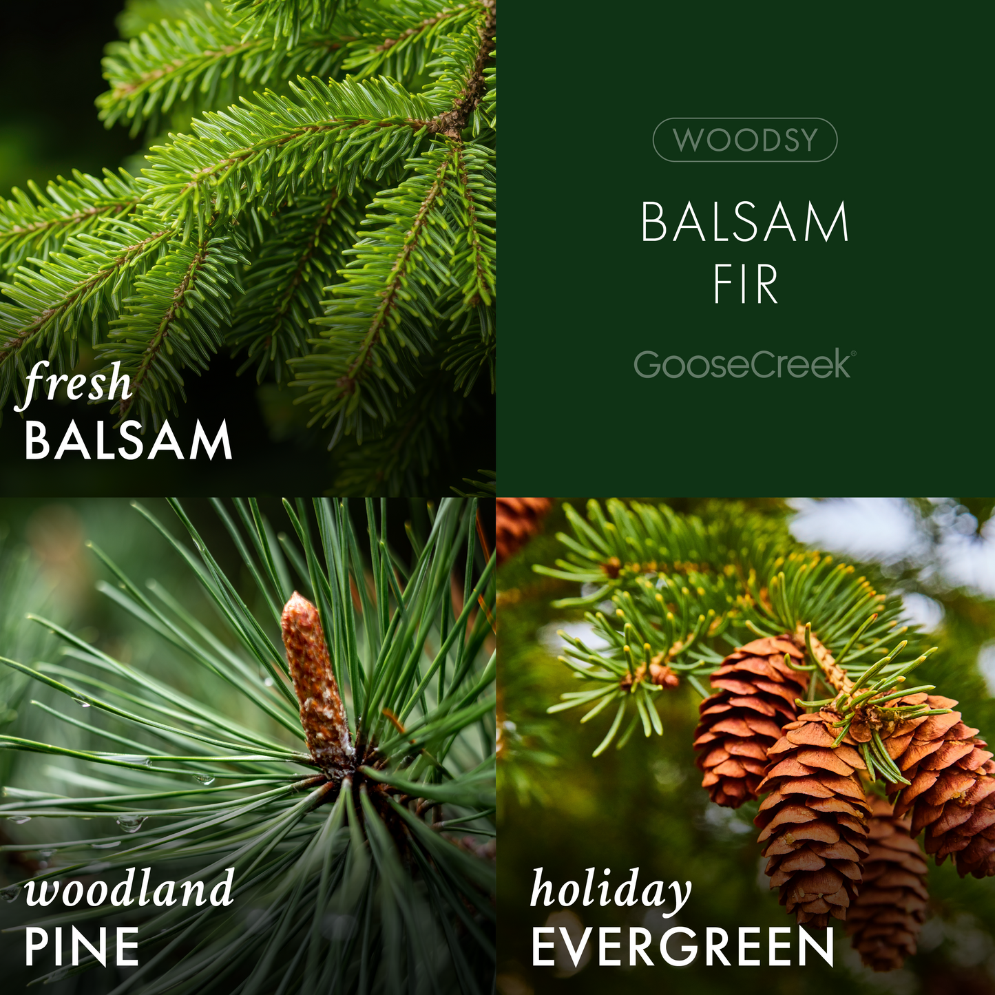 Balsam Fir 7oz Single Wick Candle
