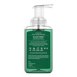 Load image into Gallery viewer, Balsam Forest Lush Foaming Hand Soap
