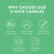 Load image into Gallery viewer, Bamboo Grove 3-Wick Candle
