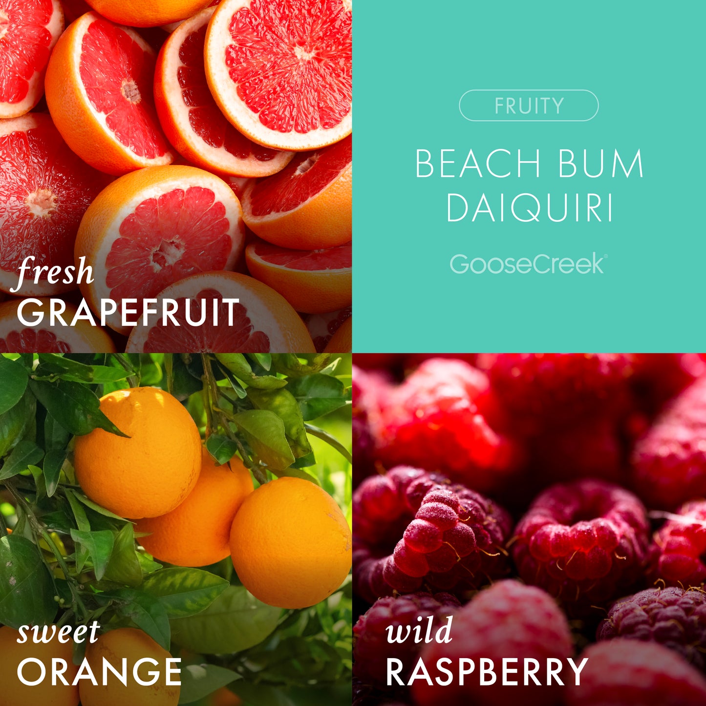 Beach Bum Daiquiri 3-Wick Candle