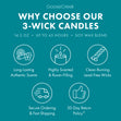 Load image into Gallery viewer, Beach Party 3-Wick Candle
