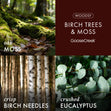 Load image into Gallery viewer, Birch Trees and Moss 3-Wick Candle
