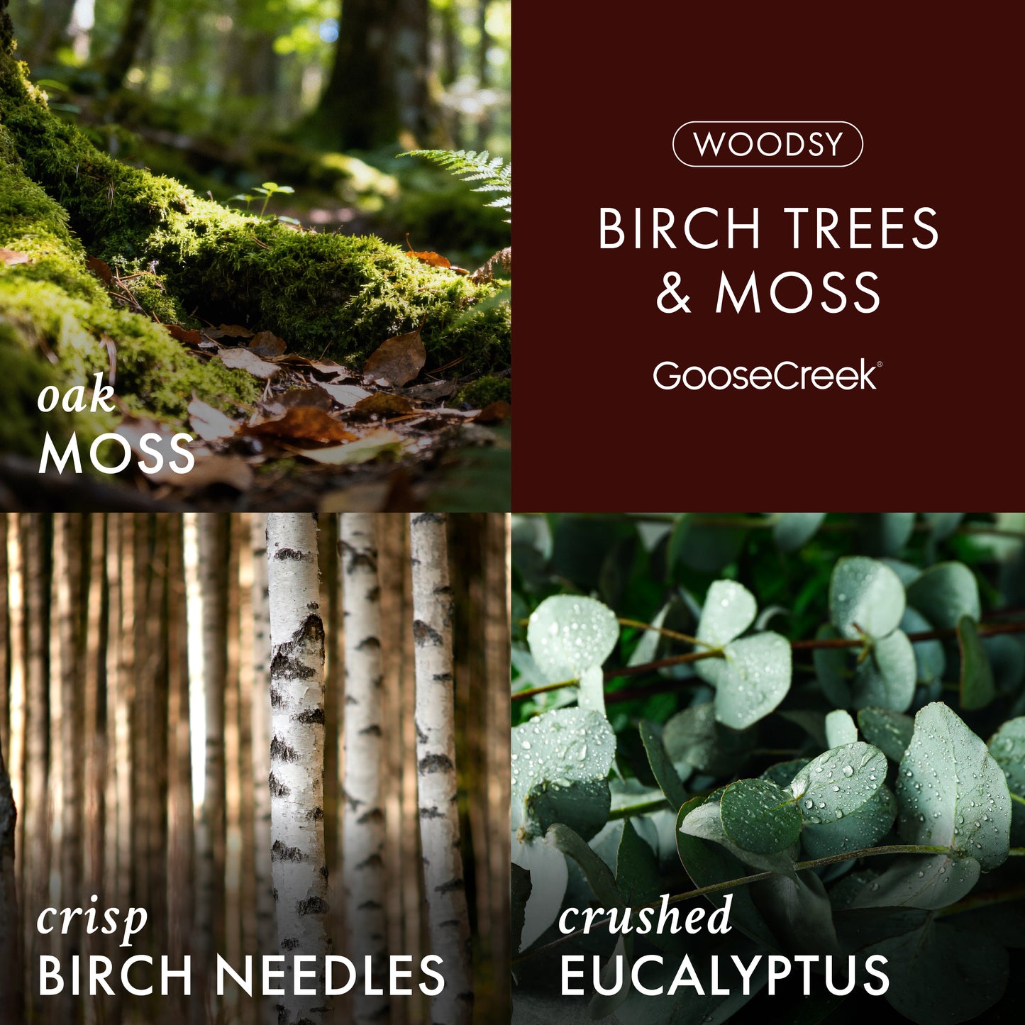 Birch Trees and Moss 3-Wick Candle