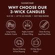 Load image into Gallery viewer, Birch Trees and Moss 3-Wick Candle
