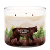 Birch Trees and Moss 3-Wick Candle
