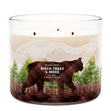 Load image into Gallery viewer, Birch Trees and Moss 3-Wick Candle
