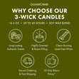 Load image into Gallery viewer, Black Candy Apple 3-Wick Candle
