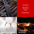Load image into Gallery viewer, Black Cat 3-Wick Candle
