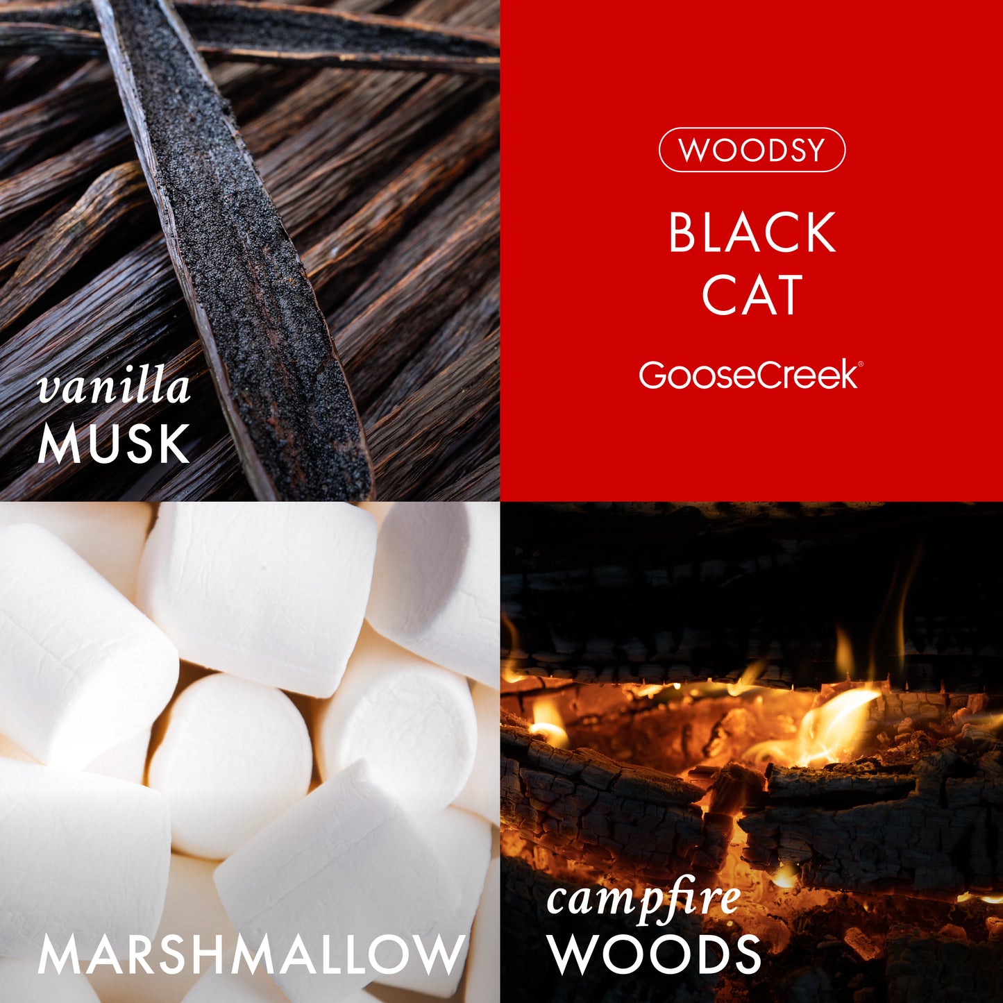 Black Cat 3-Wick Candle