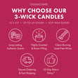 Load image into Gallery viewer, Black Cherry 3-Wick Candle
