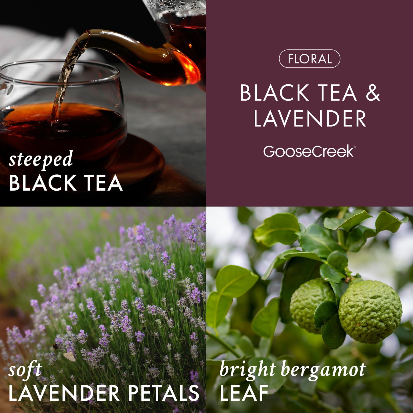 Black Tea & Lavender Lush Foaming Hand Soap
