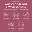 Load image into Gallery viewer, Blackberry Bourbon 3-Wick Candle
