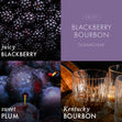 Load image into Gallery viewer, Blackberry Bourbon Lush Foaming Hand Soap
