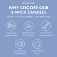 Load image into Gallery viewer, Blankets &amp;amp; Snowflakes 3-Wick Candle
