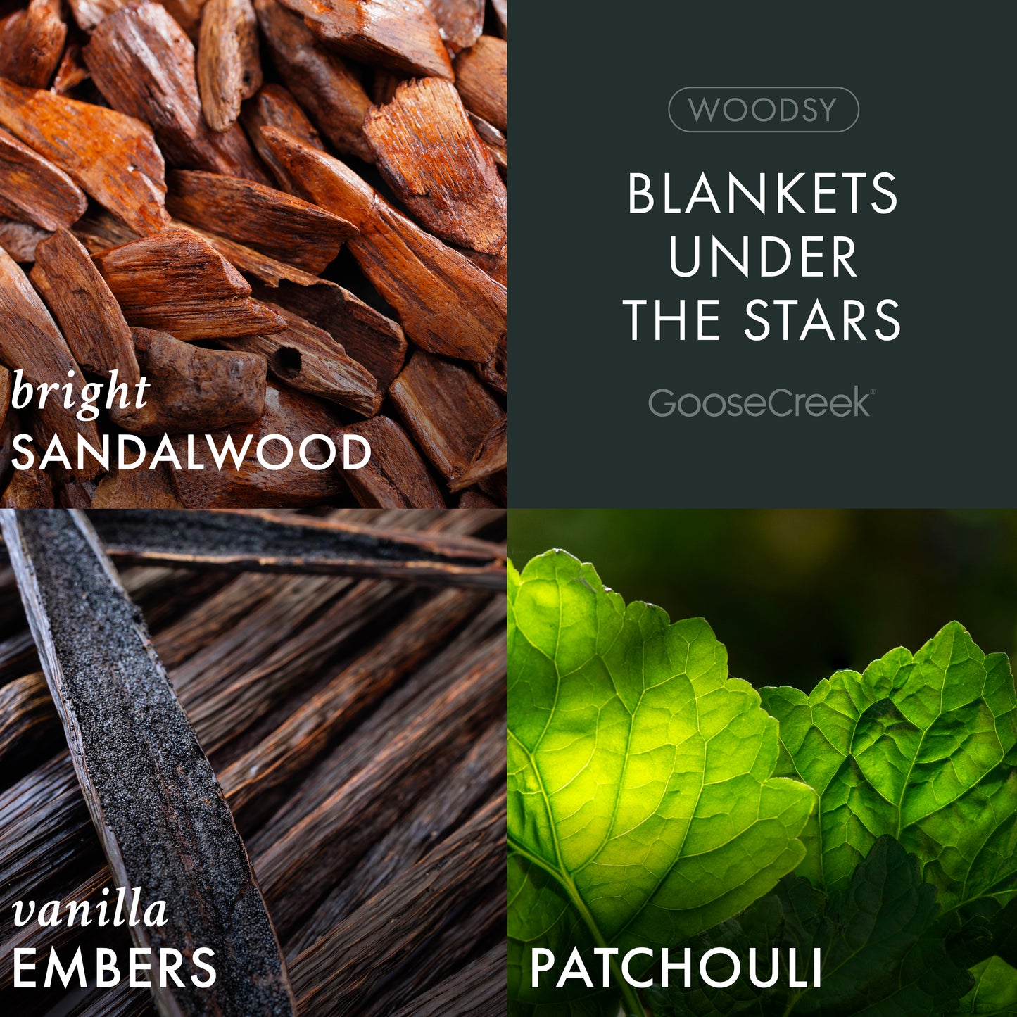 Blankets Under The Stars 3-Wick Candle