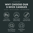 Load image into Gallery viewer, Blankets Under The Stars 3-Wick Candle

