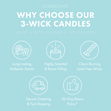 Load image into Gallery viewer, Blueberry Bunnycream Large 3-Wick Candle
