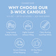 Load image into Gallery viewer, Blueberry Cheesecake 3-Wick Candle
