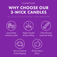 Load image into Gallery viewer, Blueberry Funnel Cake 3-Wick Candle
