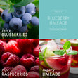 Load image into Gallery viewer, Blueberry Limeade 3-Wick Candle
