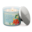 Load image into Gallery viewer, Blueberry Limeade 3-Wick Candle
