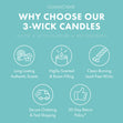 Load image into Gallery viewer, Blueberry Limeade 3-Wick Candle
