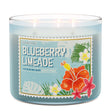 Load image into Gallery viewer, Blueberry Limeade 3-Wick Candle
