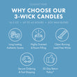 Load image into Gallery viewer, Blueberry Pancakes 3-Wick Candle
