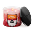 Load image into Gallery viewer, Bonfire Blanket 3-Wick Candle
