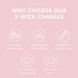 Load image into Gallery viewer, Bunny Bake Shop 3-Wick Candle
