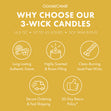 Load image into Gallery viewer, Catdog Nickelodeon 3-Wick Candle

