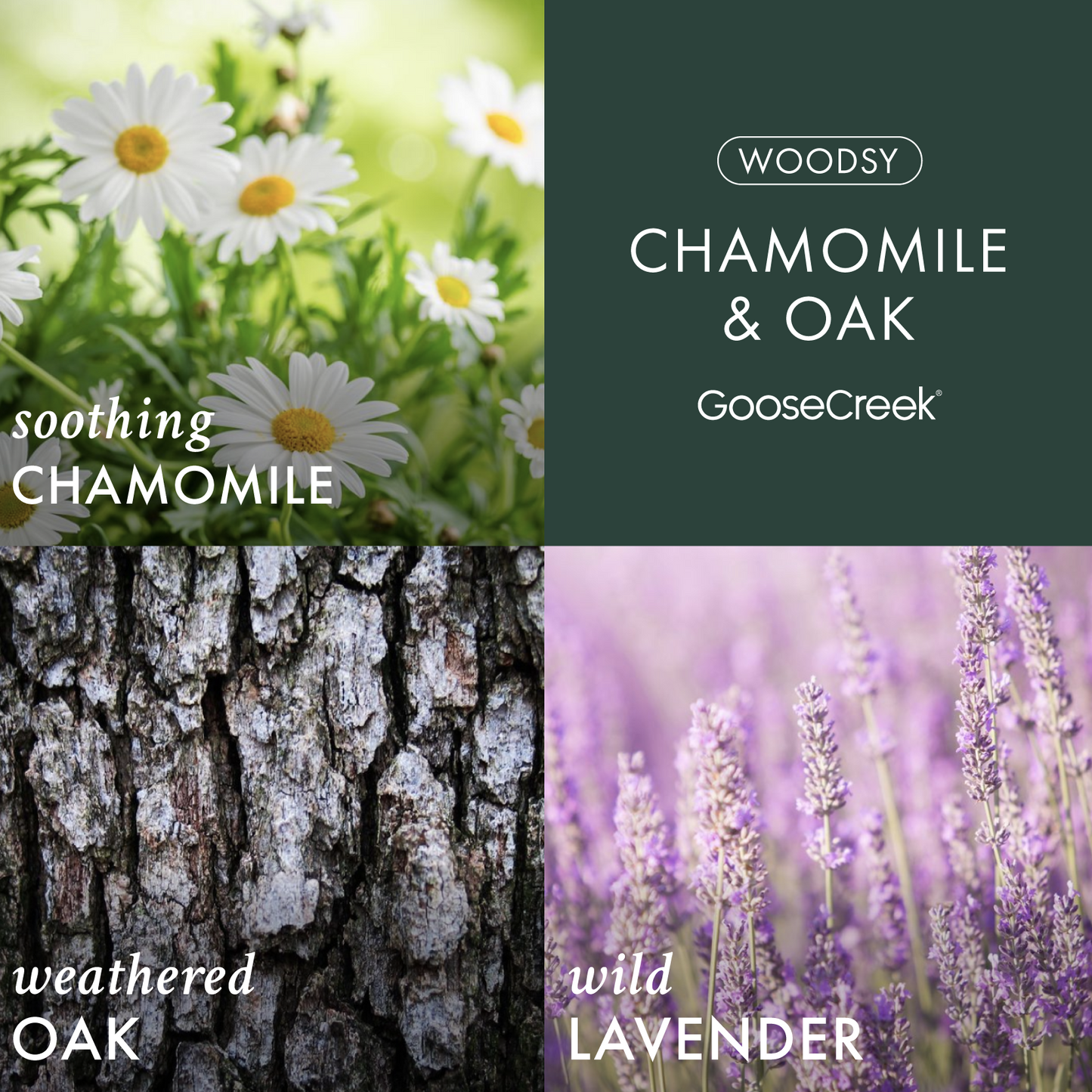 Chamomile & Oak 3-Wick Candle