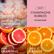 Load image into Gallery viewer, Champagne Bubbles 3-Wick Candle
